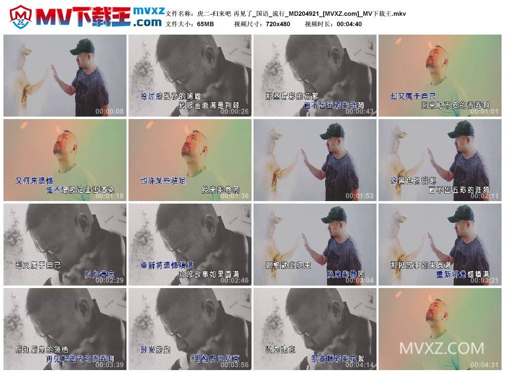 虎二-归来吧 再见了_国语_流行_MD204921